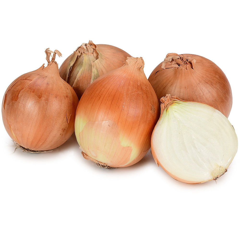 пять луковиц на белом фоне