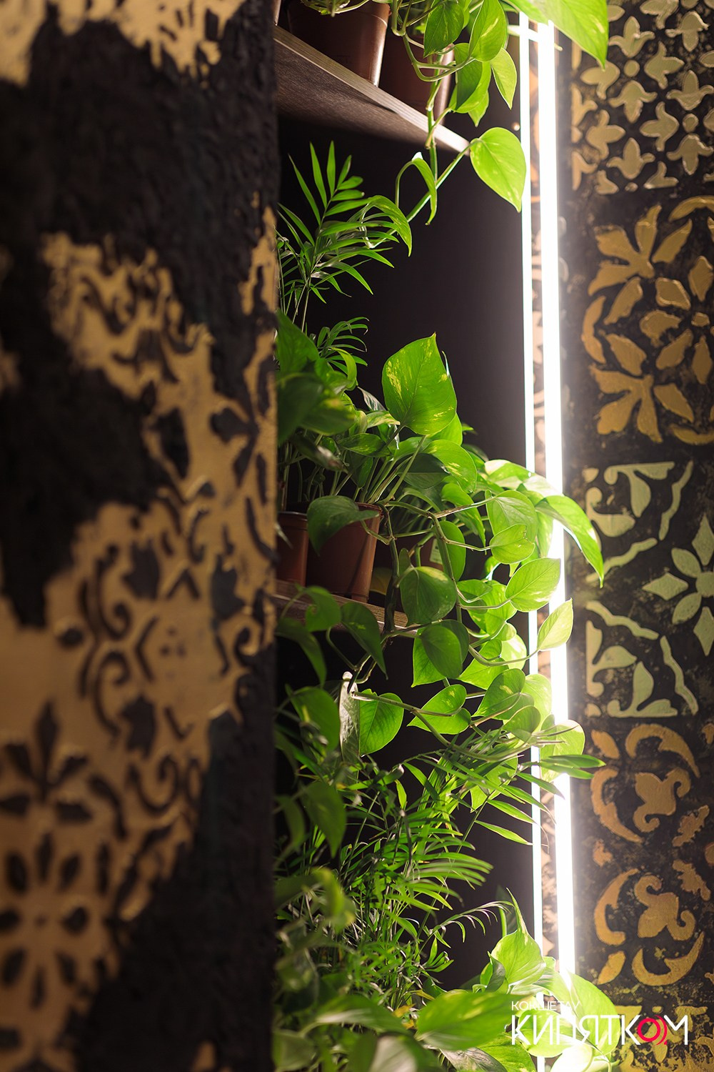 CAFFEIN / BEDDUIN. КИПЯТКОМ КОКШЕТАУ