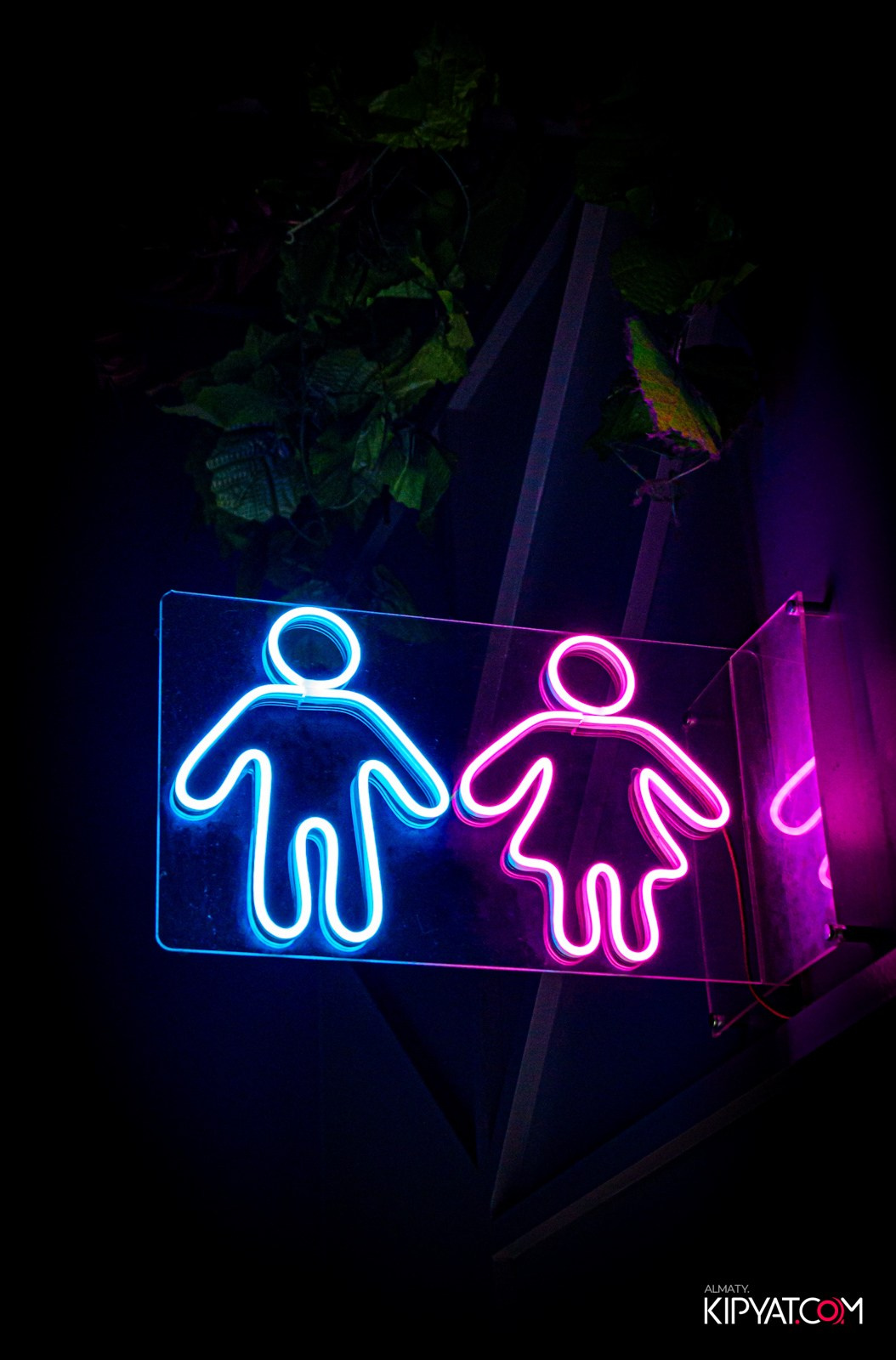 VICE CITY. КИПЯТКОМ АЛМАТЫ!