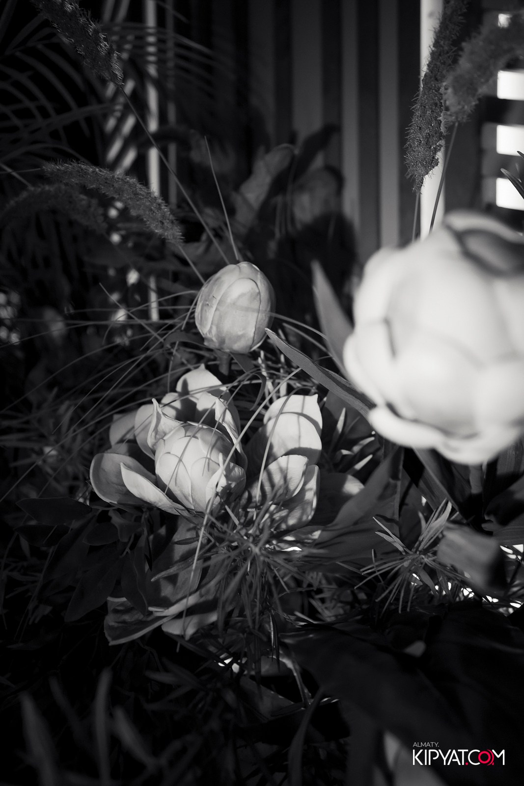 FRIENDS BAR & TERRACE. КИПЯТКОМ АЛМАТЫ!