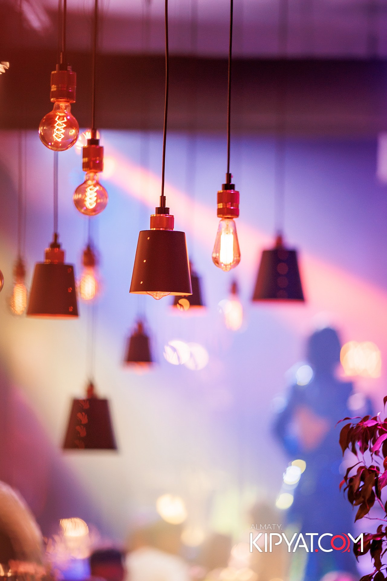 QUEST PISTOLS В РЕСТОРАНЕ NINO. КИПЯТКОМ АЛМАТЫ!