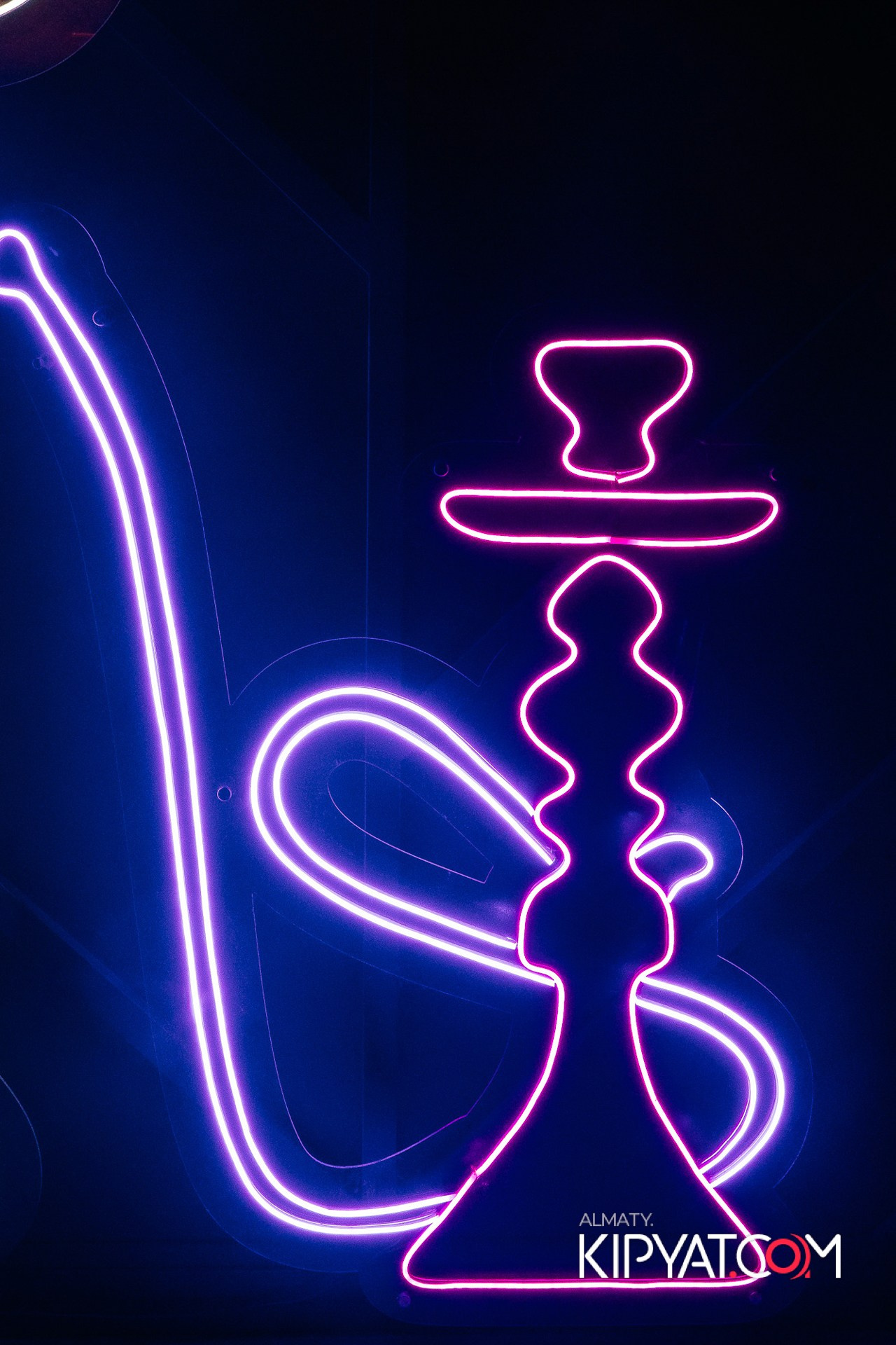 VICE CITY. КИПЯТКОМ АЛМАТЫ! Фотосъемка мероприятий в Алматы