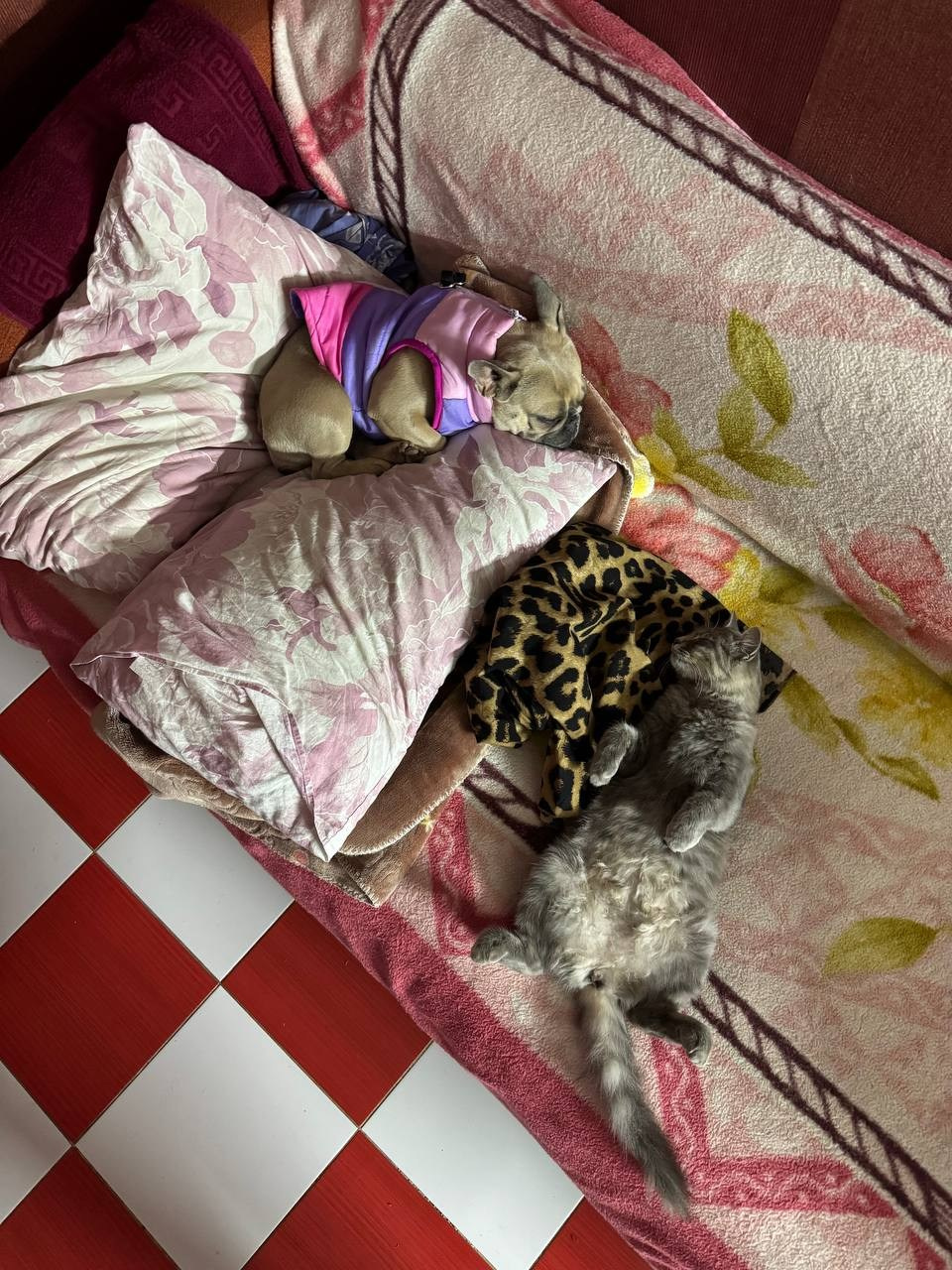 2025 12–23 сентября Юг. Собор Отрасли