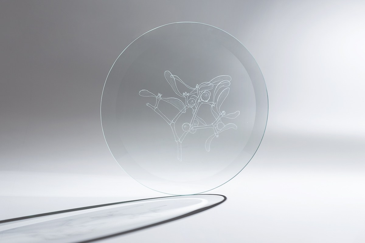 Exhibition. Alexey Bogolepov photography