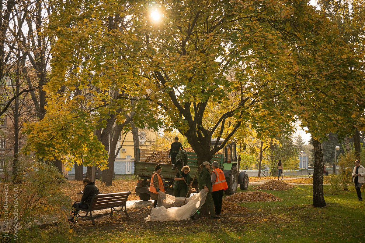 Киев, Украина, октябрь 2011. Анна Леденева Фотограф