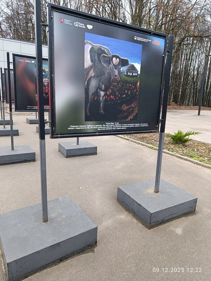 Шашкина Юлия Владимировна. Галерея участников Российской Премии Искусств