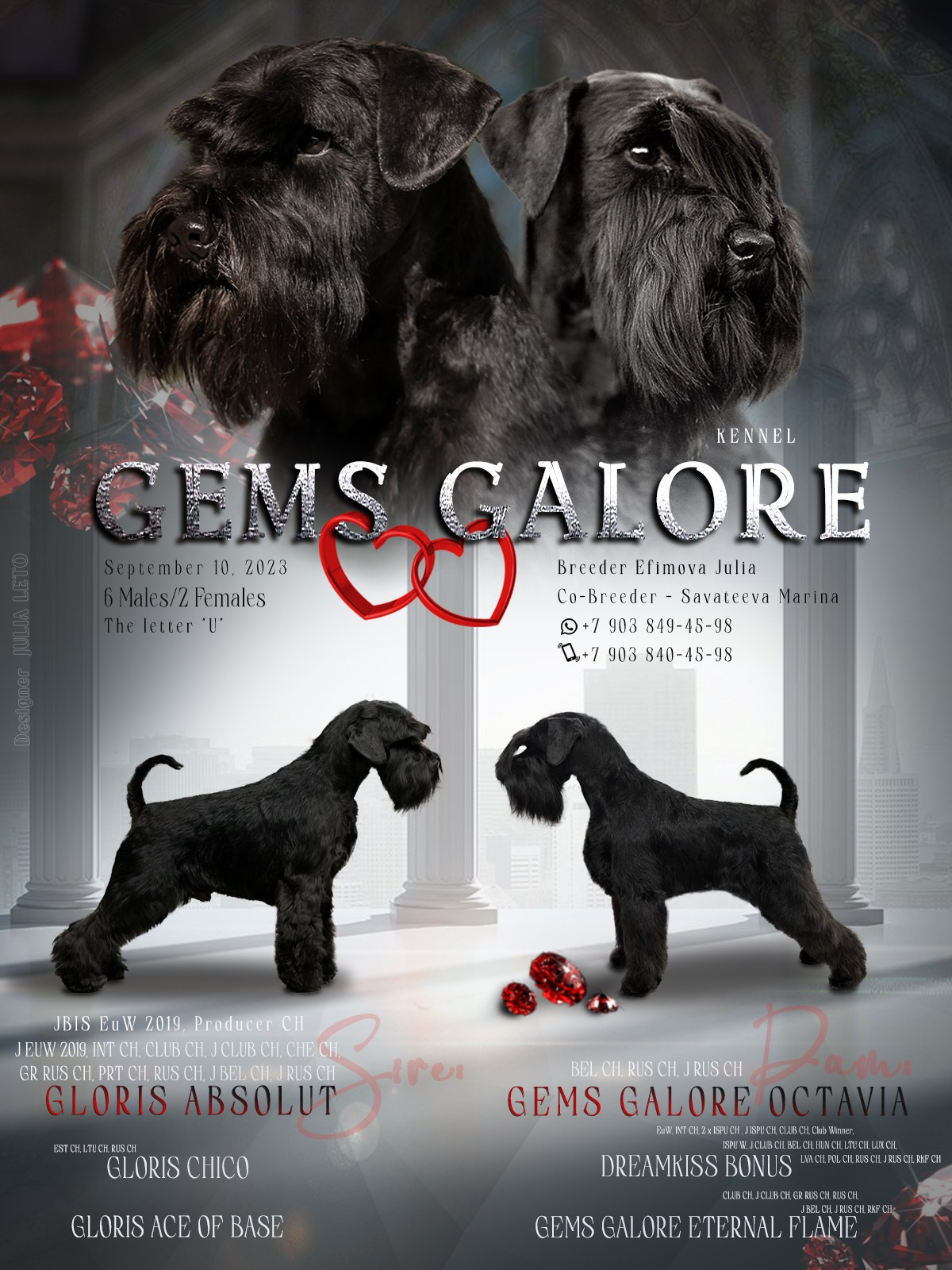 Презентации. Фотограф — анималист в Туле Юлия Лето