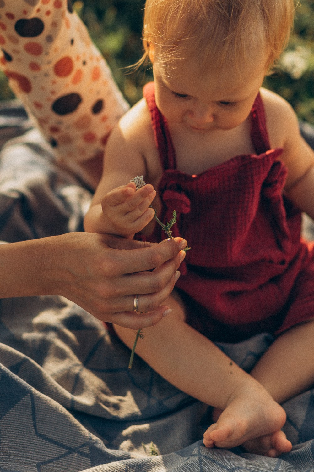 Первое лето. Фотограф из Петербурга