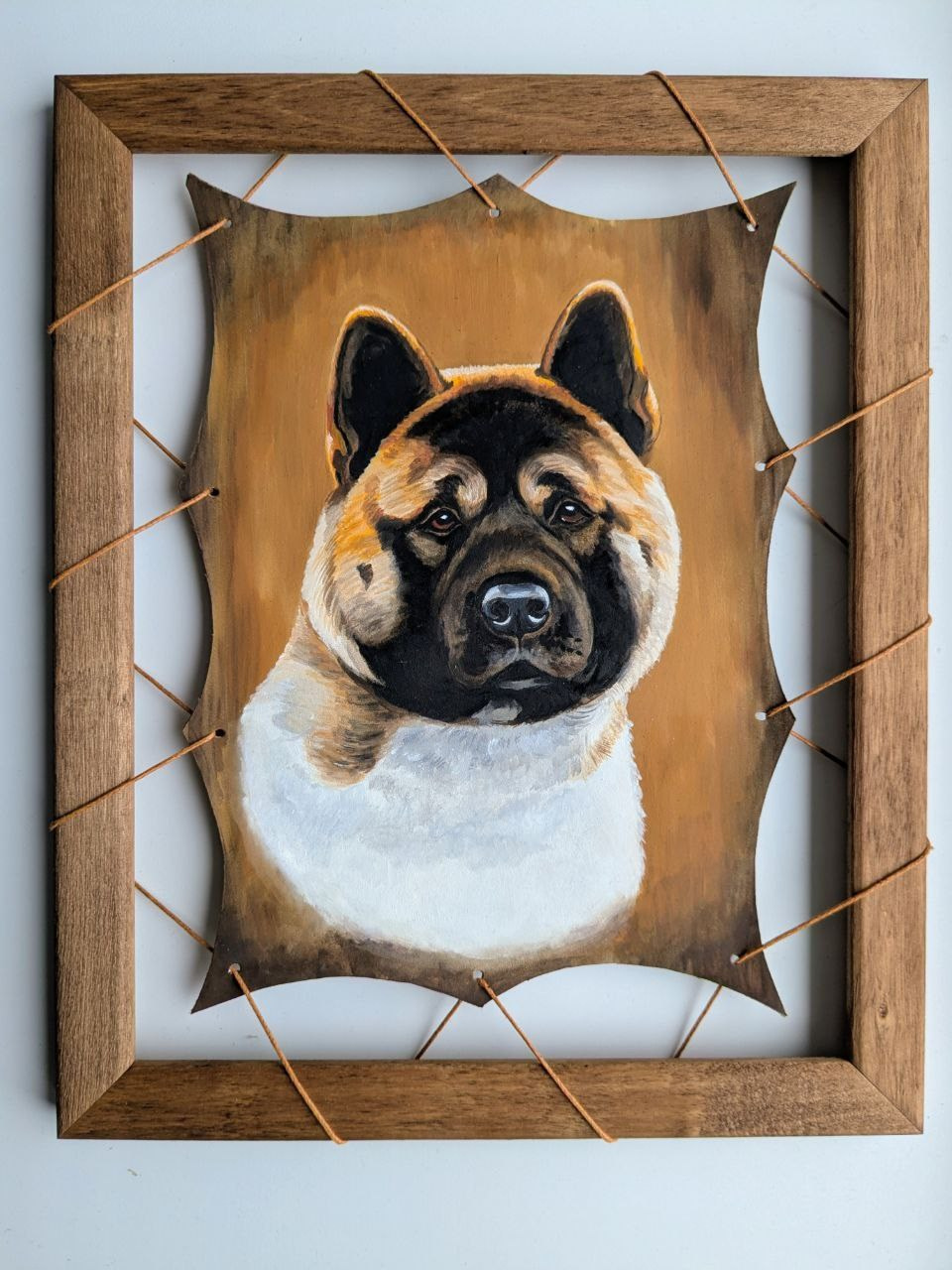 5 группа — шпицы и примитивные собаки. Художник-анималист в Нижнем Новгороде Надежда Шапошникова