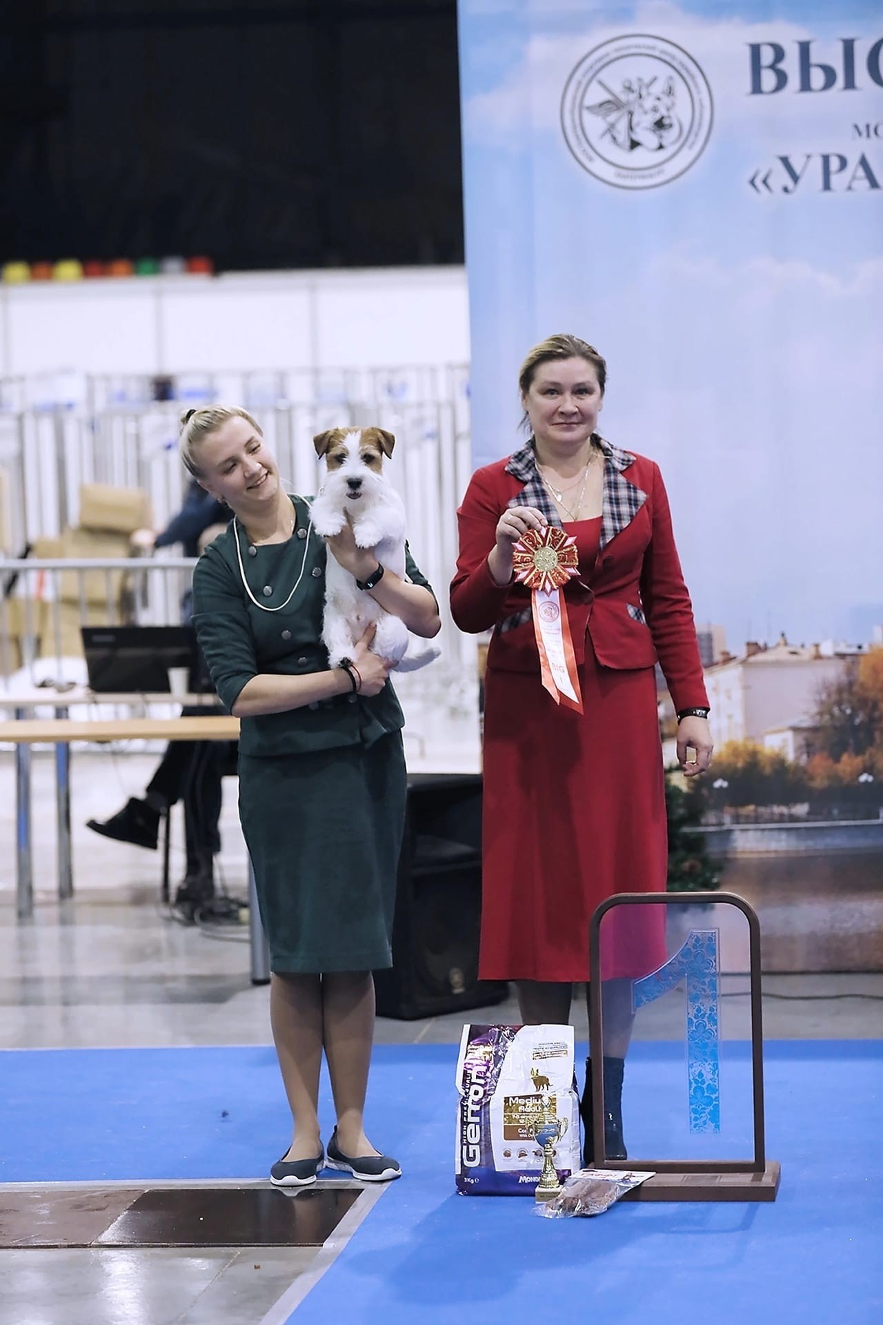 Lovely-Orange Kaizer. Lovely-Orange питомник джек рассел терьеров