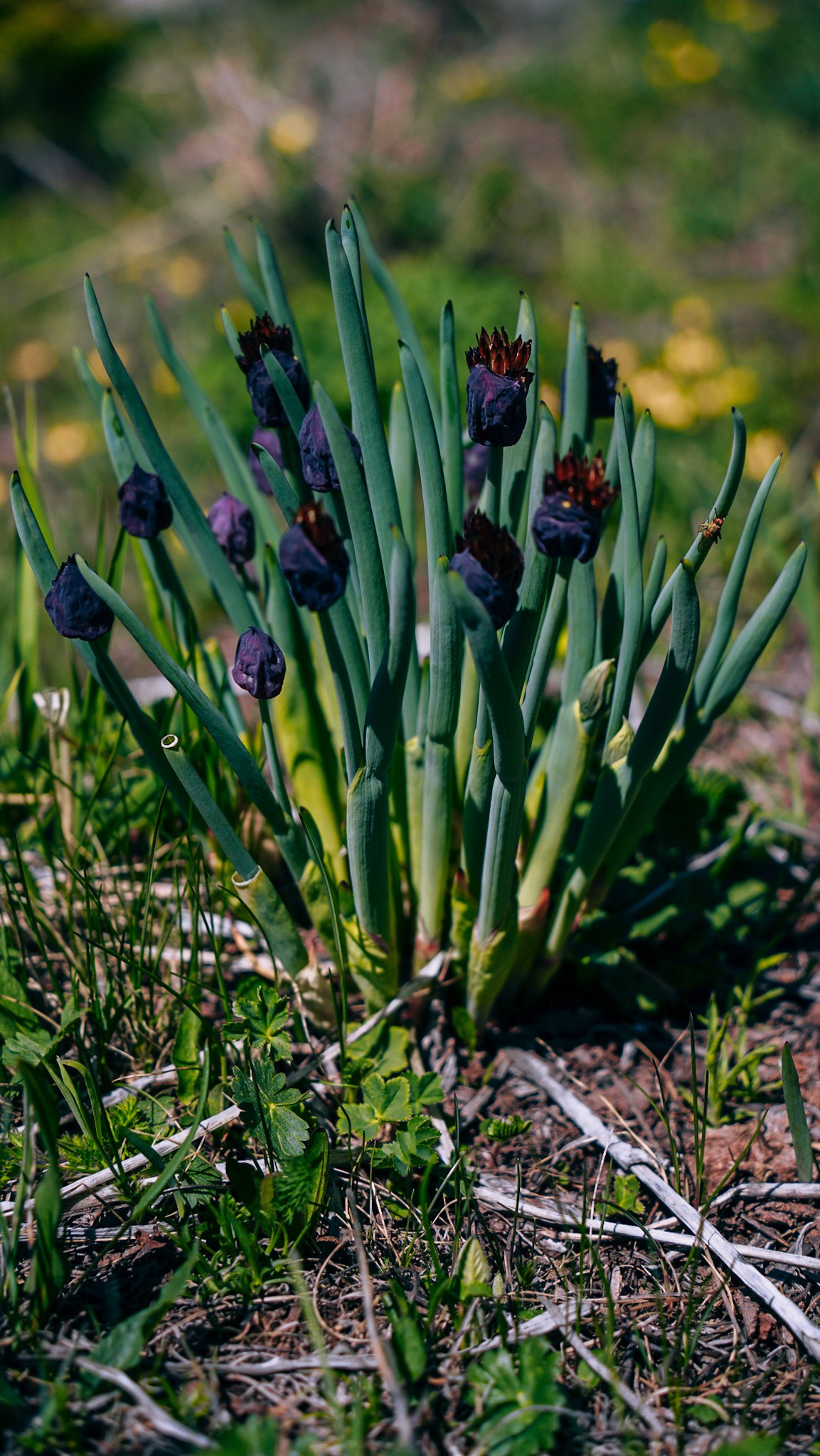 Кыргызстан. Человек с фотокамерой