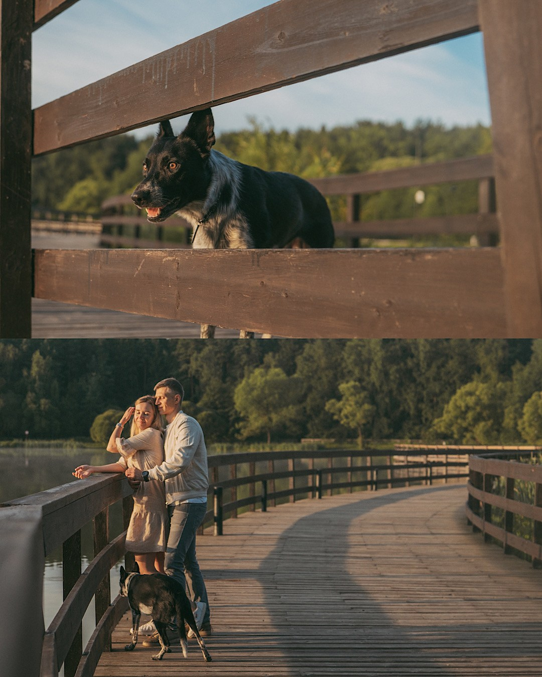 Катя, Сергей и Флинт. Фотограф анималист в Москве и Санкт-Петербурге Свиридова Анна