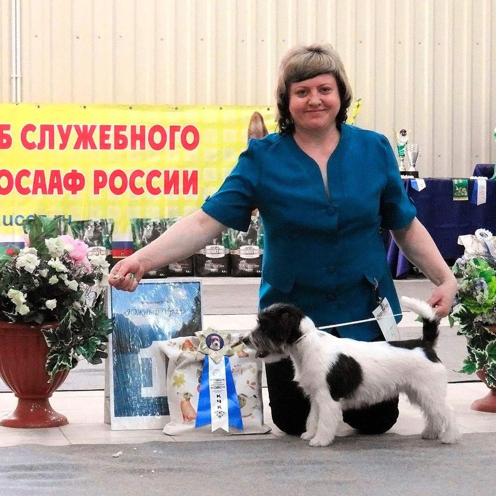 Port Fortis Destiny Of Love