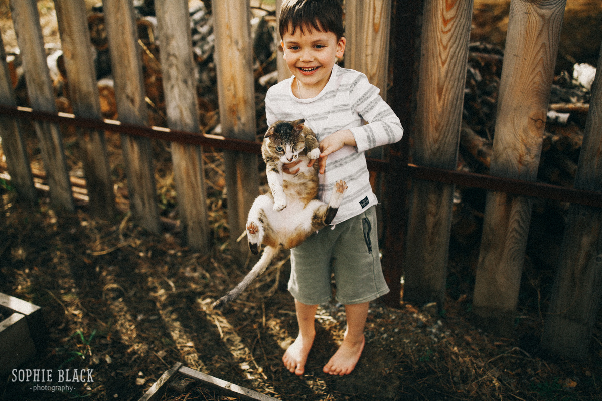 Домик в Сосновом Лесу. Соня Черных (sophieblack)