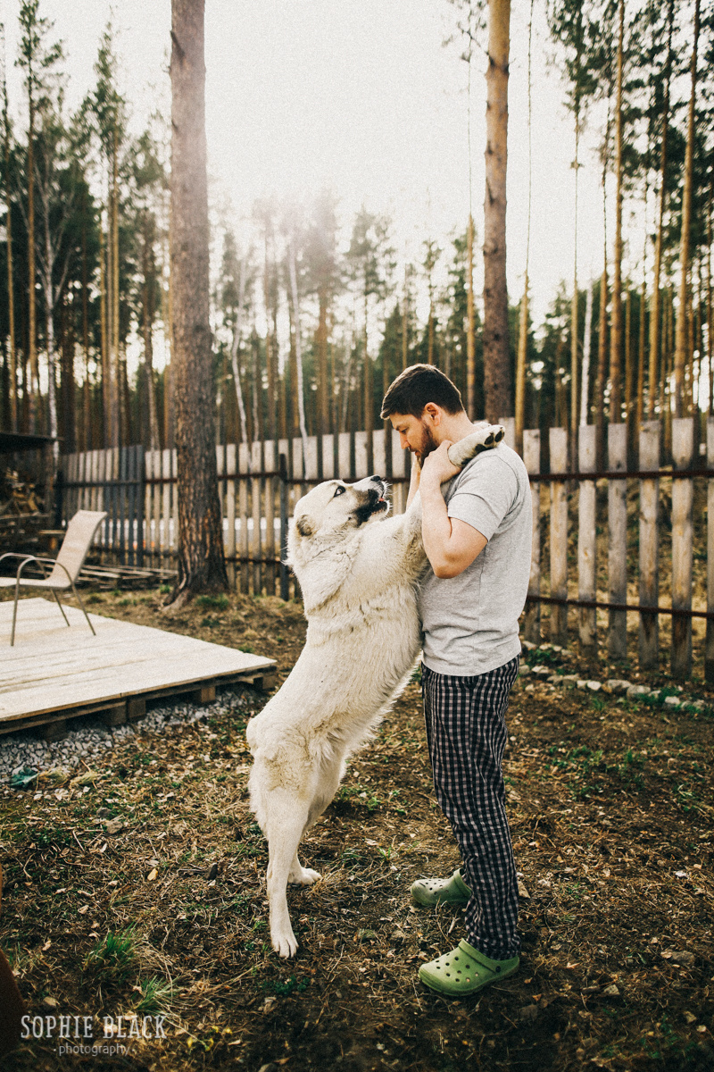 Домик в Сосновом Лесу. Соня Черных (sophieblack)