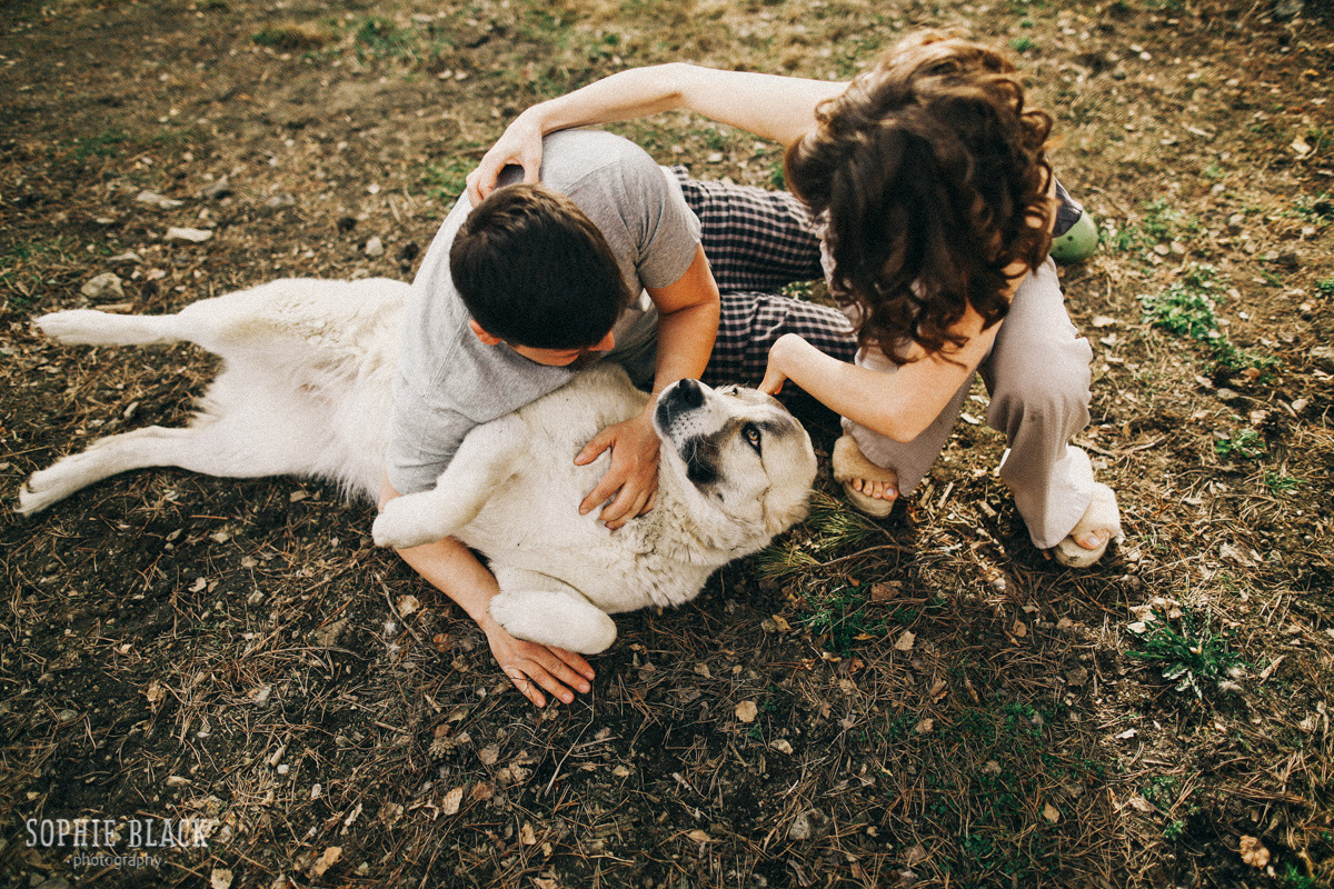 Домик в Сосновом Лесу. Соня Черных (sophieblack)