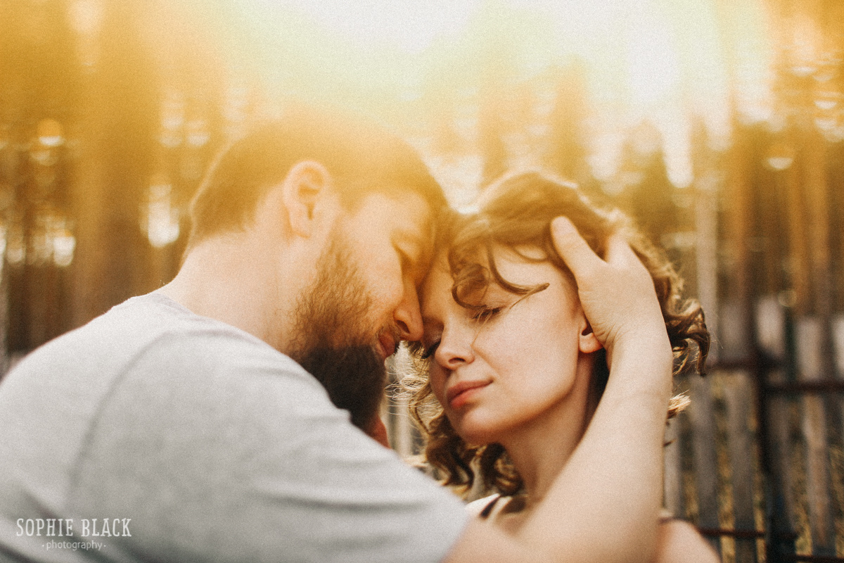 Домик в Сосновом Лесу. Соня Черных (sophieblack)