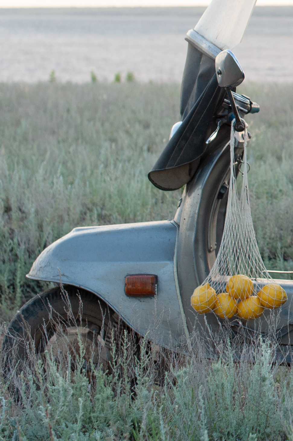 Элизабет и Аркадий. Фотограф Елисеев Евгений в городе Волгоград