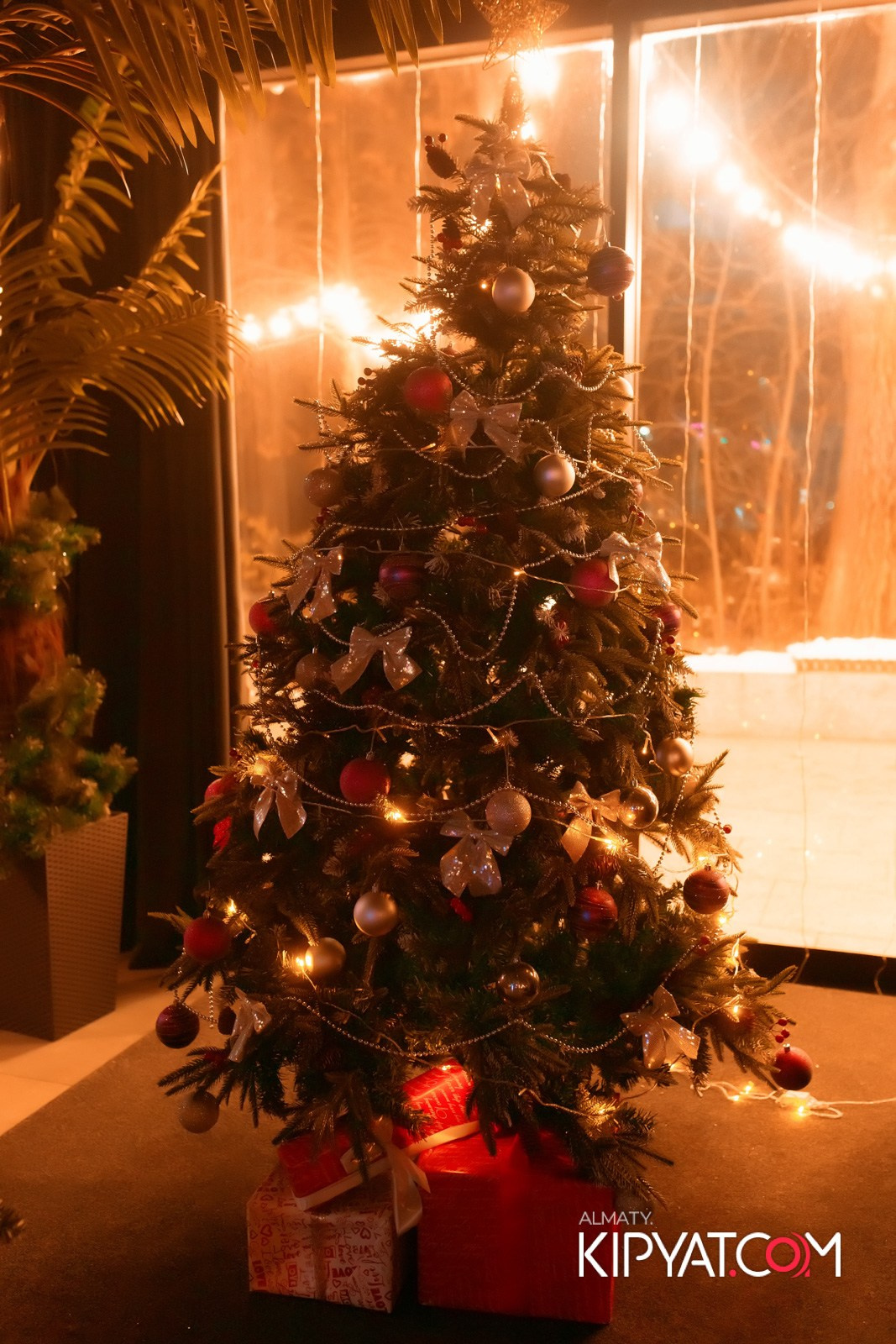 VICE CITY. КИПЯТКОМ АЛМАТЫ! Фотосъемка мероприятий в Алматы