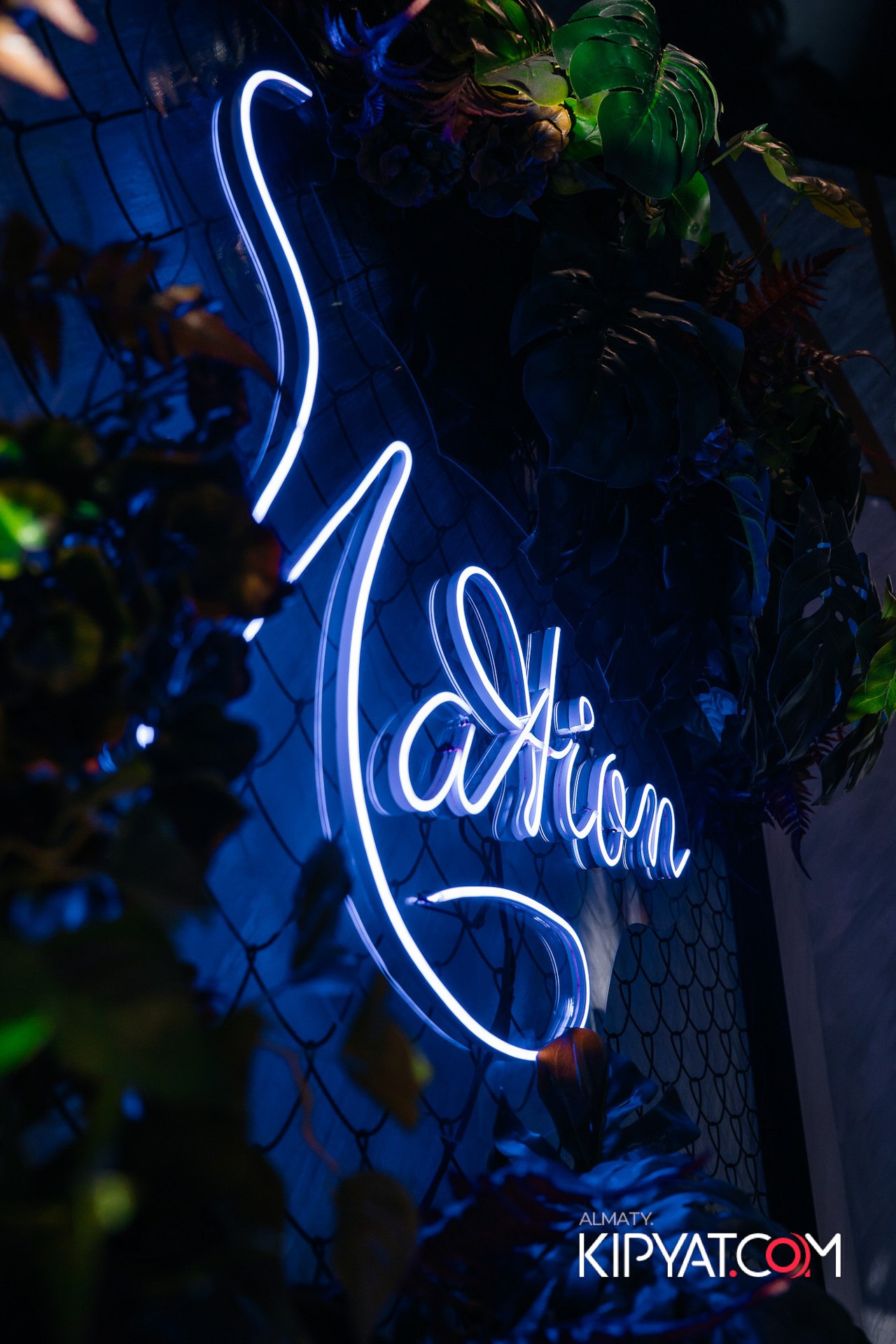 ДОРОГАЯ Я НЕ ПИЛ!. КИПЯТКОМ АЛМАТЫ!