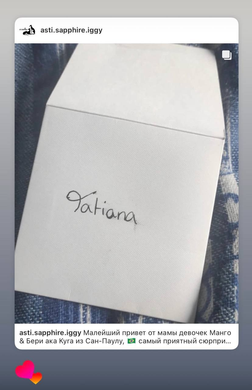 Welcome. Профессиональный питомник левреток РКФ/FCI ASTI SAPPHIRE 💎 Сочи|Санкт-Петербург