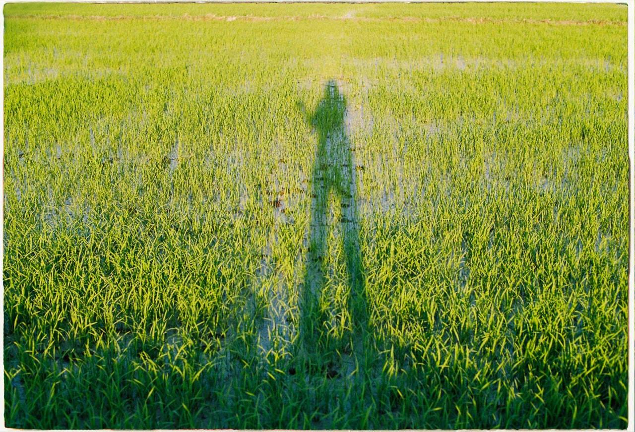 Blog. Film Photographer in Da Nang, Vietnam — Tanya Parfenteva