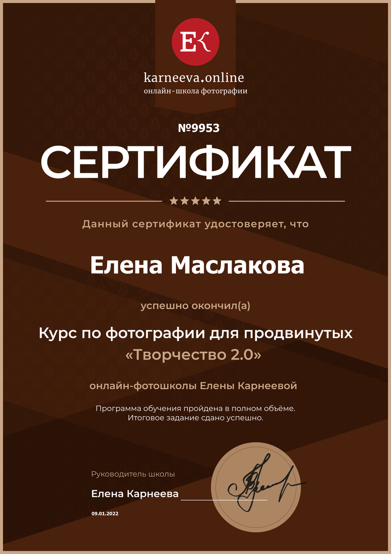 Мои достижения. Детский и семейный фотограф Маслакова Елена