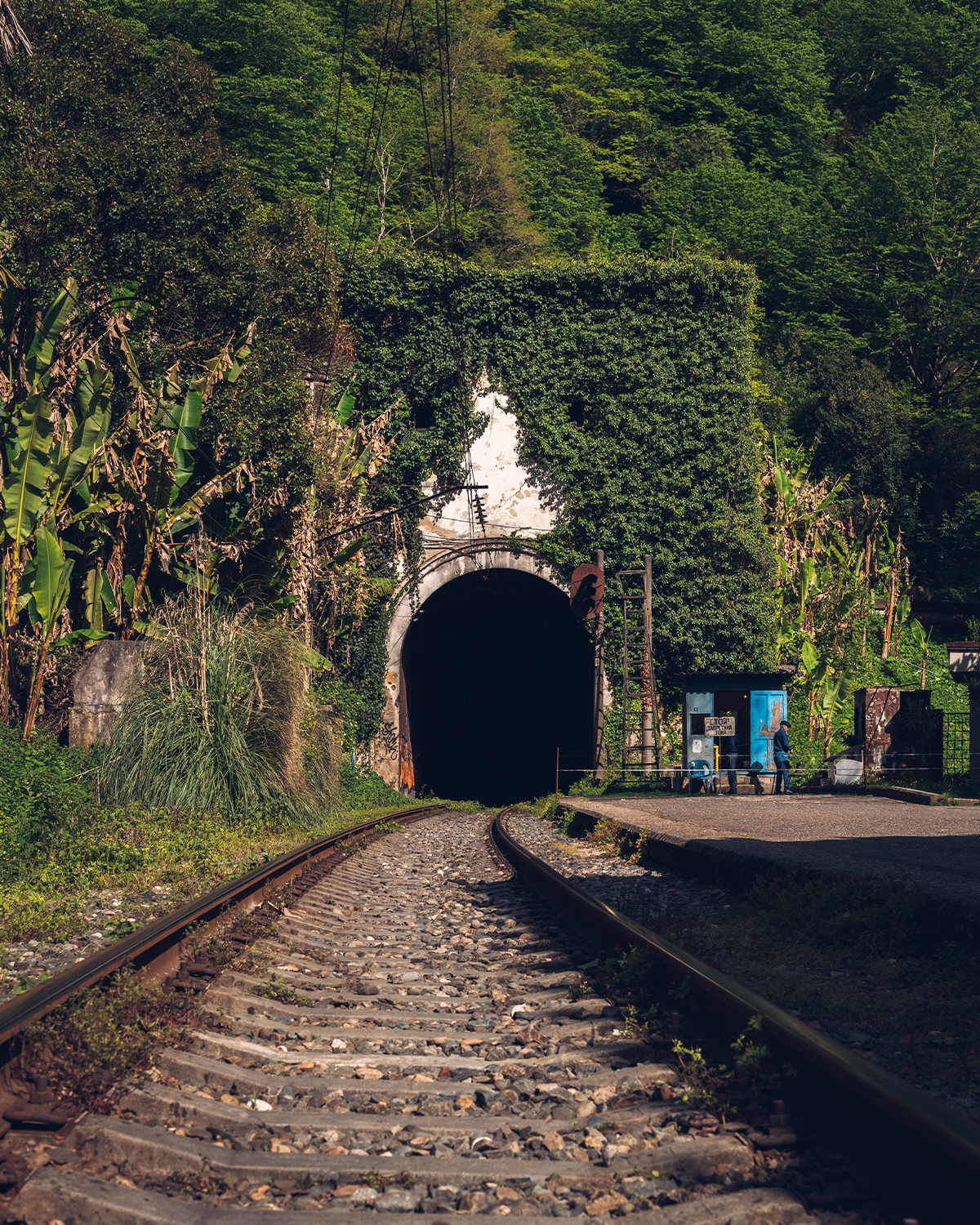 Абхазия в объективе: путешествие рекламного фотографа из Гуанчжоу. Коммерческий и предметный фотограф в Гуанчжоу Коваленко Александр