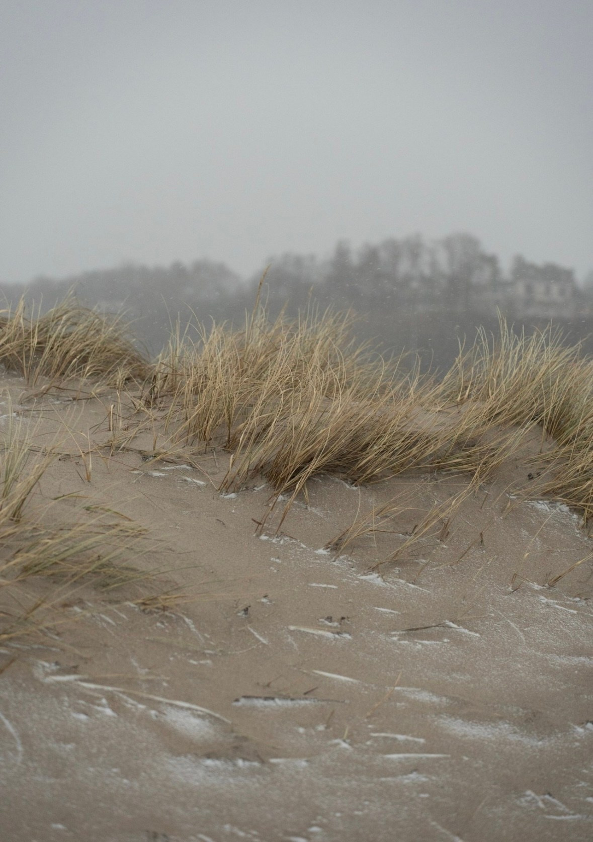 Калининград. Организатор Авторских Туров Жукова Алёна