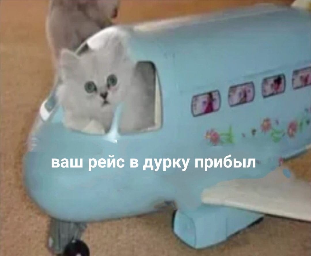 2025.08.20 Ярослав и Катя. Вова Вершинин - свадебный видеограф в Нижнем Новгороде, Москве и всей России