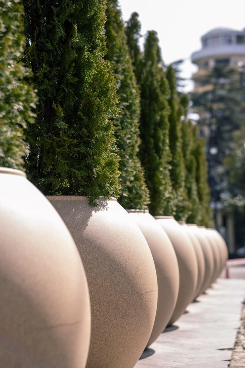 Сочи 2025. Фотограф Михаил Олейник