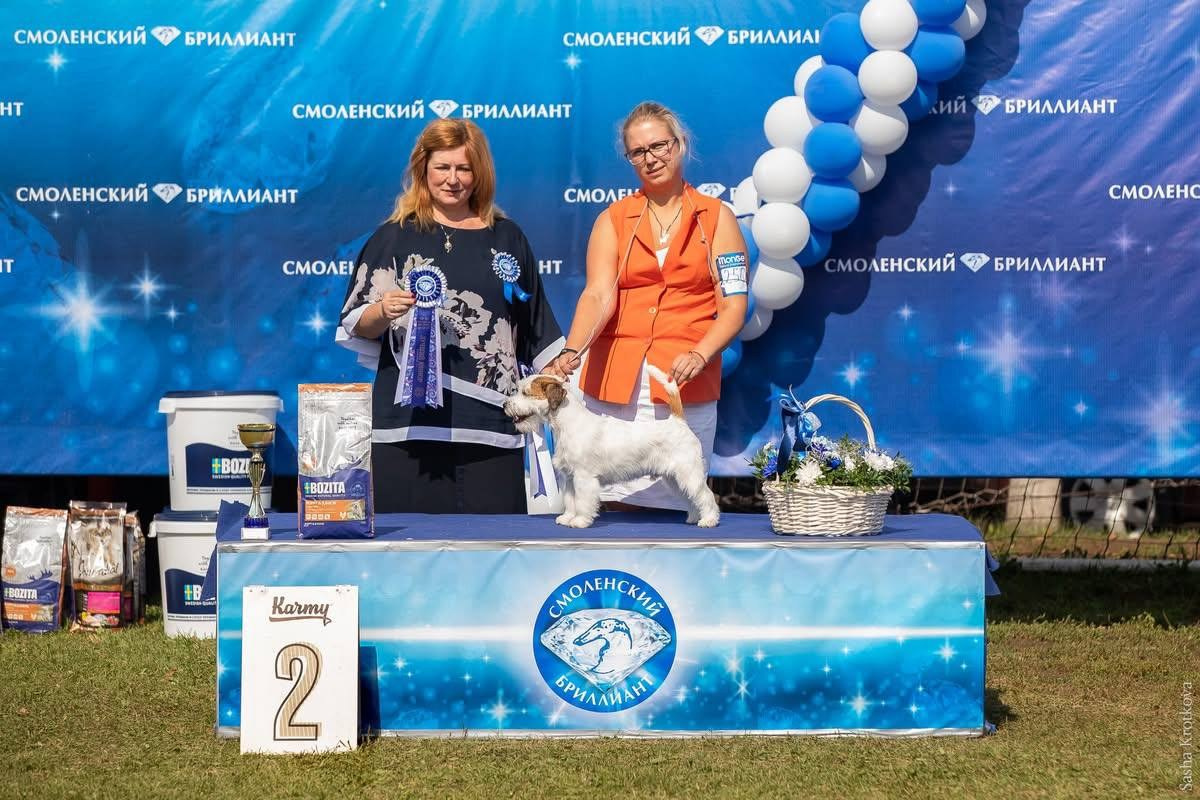 Lovely-Orange Grand Muffin. Lovely-Orange питомник джек рассел терьеров