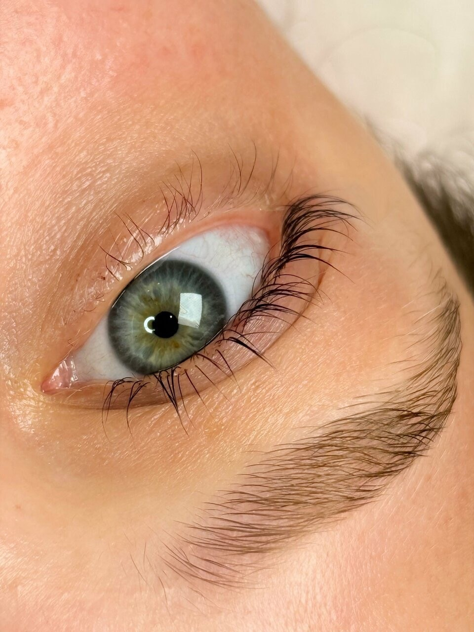 БРОВИ И РЕСНИЦЫ. Студия «Религия Красоты», метро Яхромская