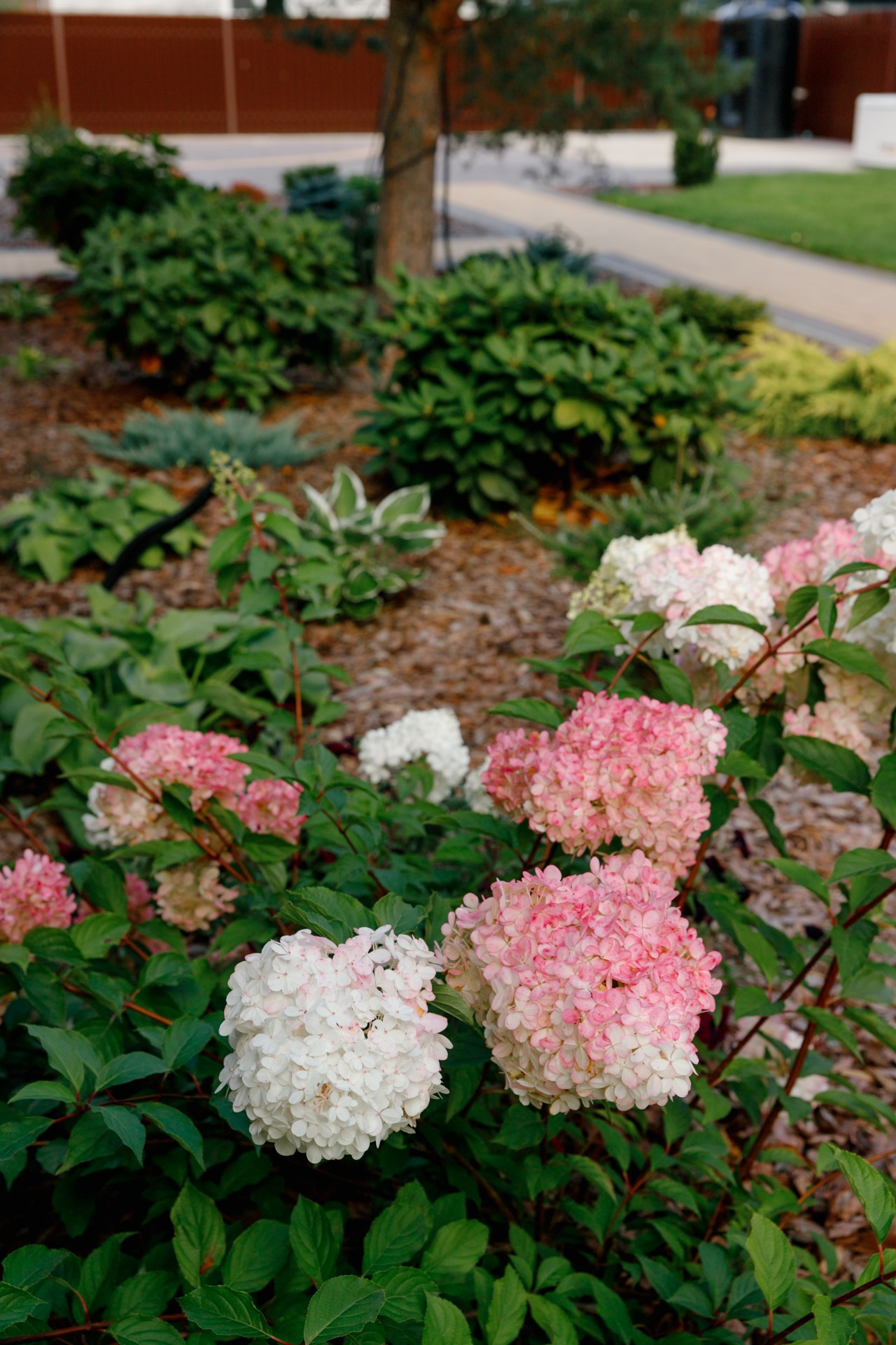 Загородный дом. Ландшафтный дизайн. Репортажный фотограф в Санкт-Петербурге Жолудев Владислав