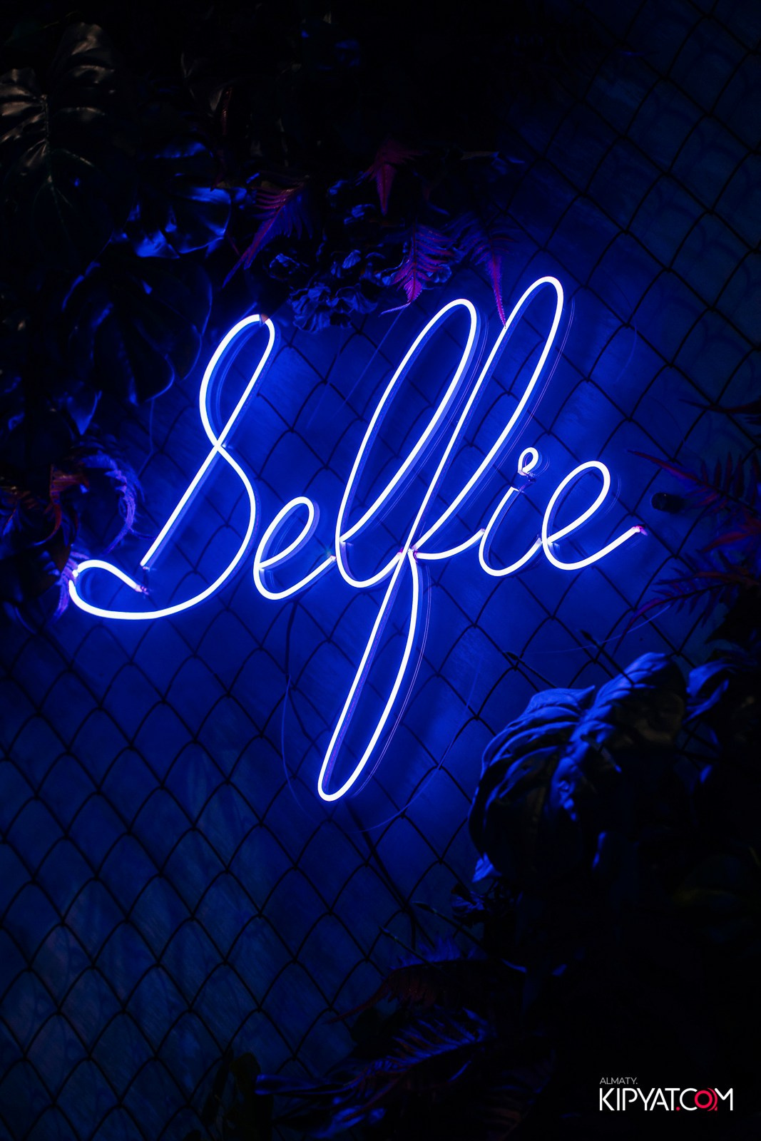 ДОРОГАЯ, Я НЕ ПИЛ. КИПЯТКОМ АЛМАТЫ! Фотосъемка мероприятий в Алматы