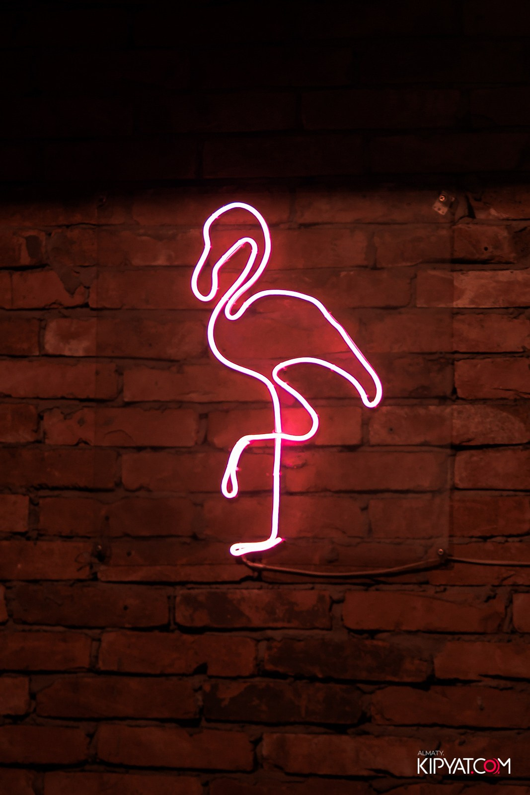 OLOVO НА САТПАЕВА. КИПЯТКОМ АЛМАТЫ! Фотосъемка мероприятий в Алматы