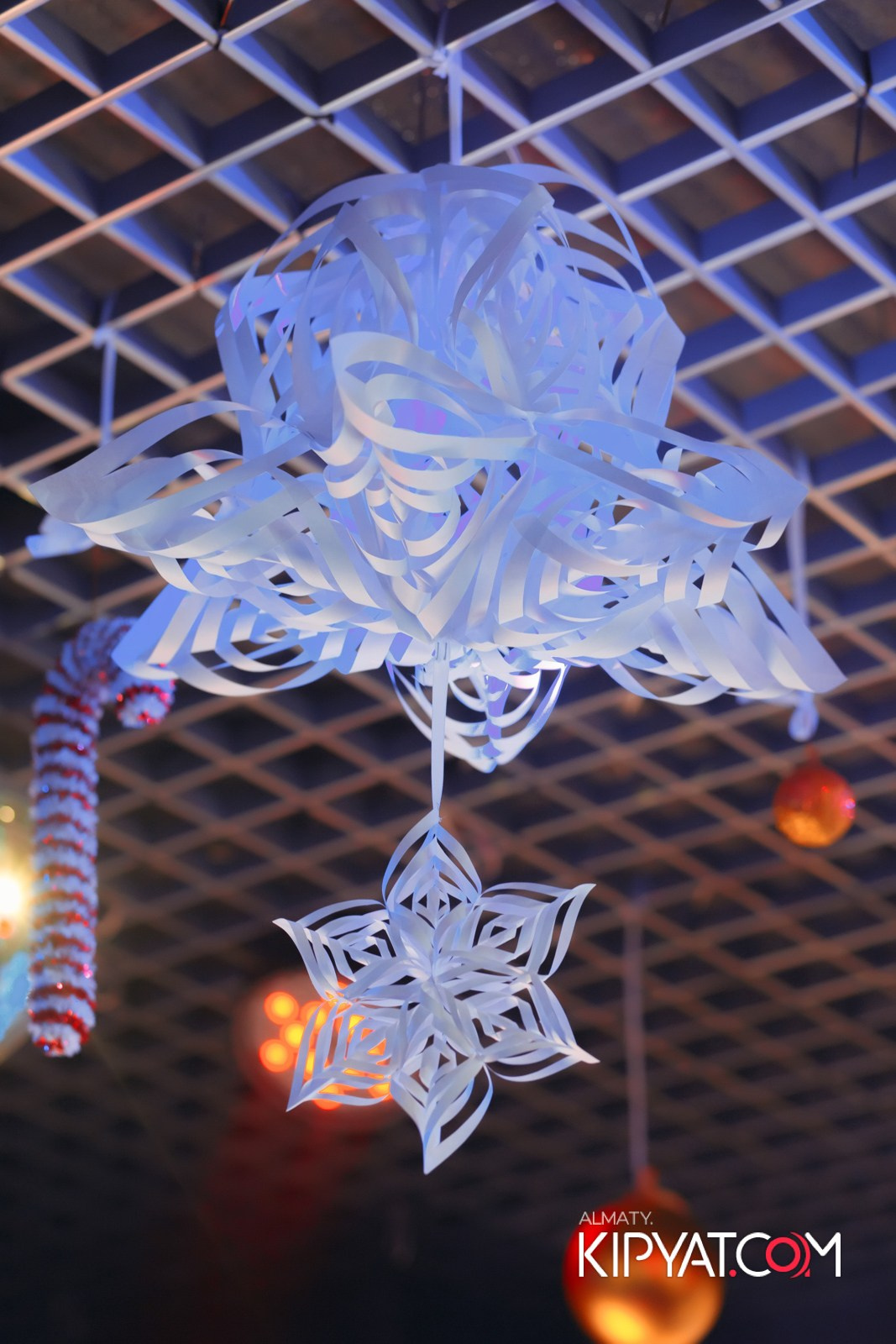 УХО И МЕДВЕДЬ НА САИНА. КИПЯТКОМ АЛМАТЫ!