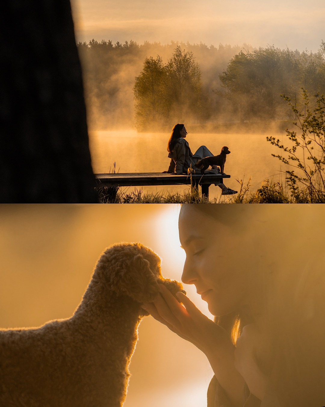 Лия и Чарли. Фотограф анималист в Москве и Санкт-Петербурге Свиридова Анна