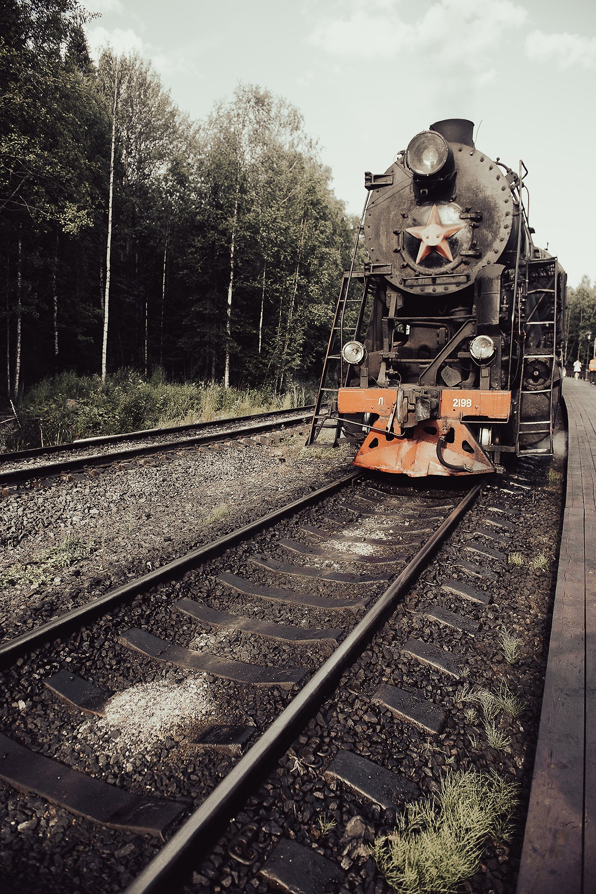 Карелия. Фотограф-анималист Наталья Светличная