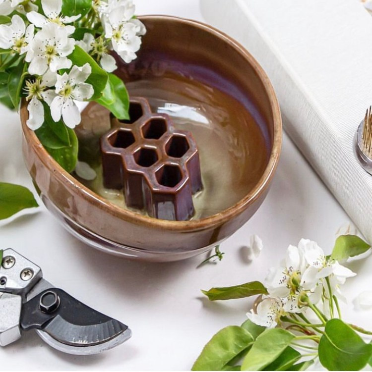 Garden. Maria Poleshchuk, commercial photographer in Sydney