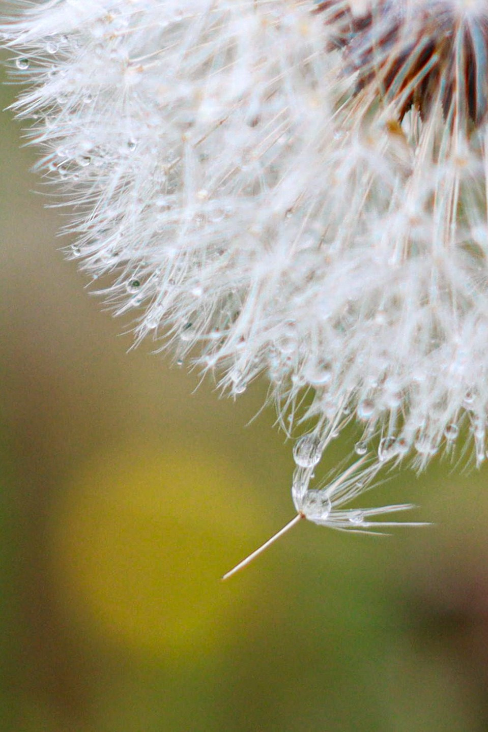 Природа. Фотограф в Южно-Сахалинске Гусаков Евгений
