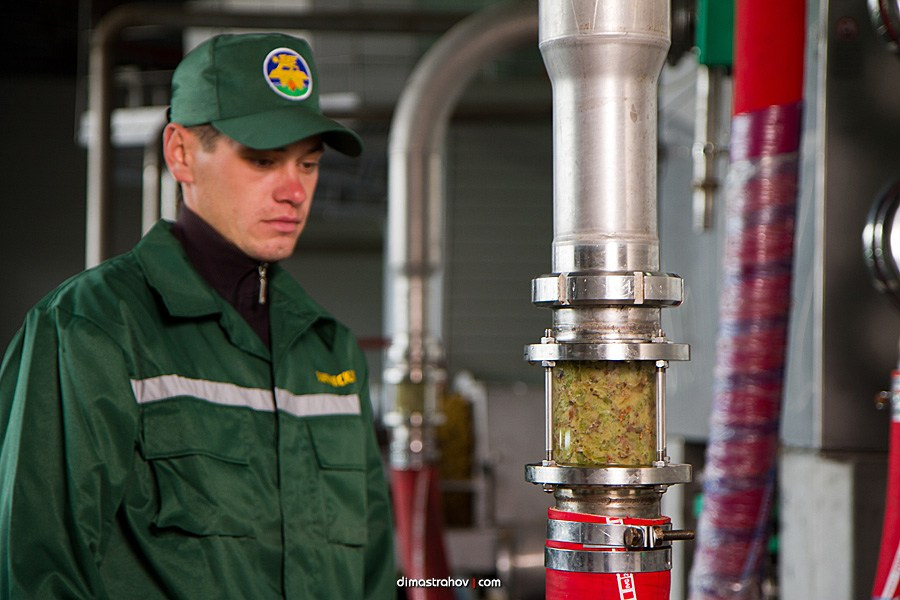 Винзавод Качинский +. Свадебный фотограф, фотосъемка в Крыму, Севастополе, Симферополе, Ялте