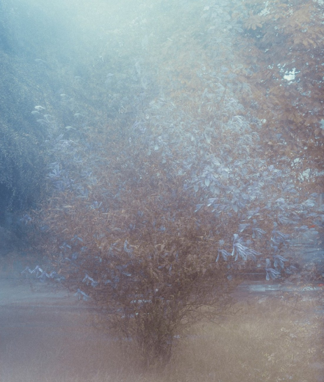 «Искусство XXI века» Краснодар. ARTEXPOPHOTO