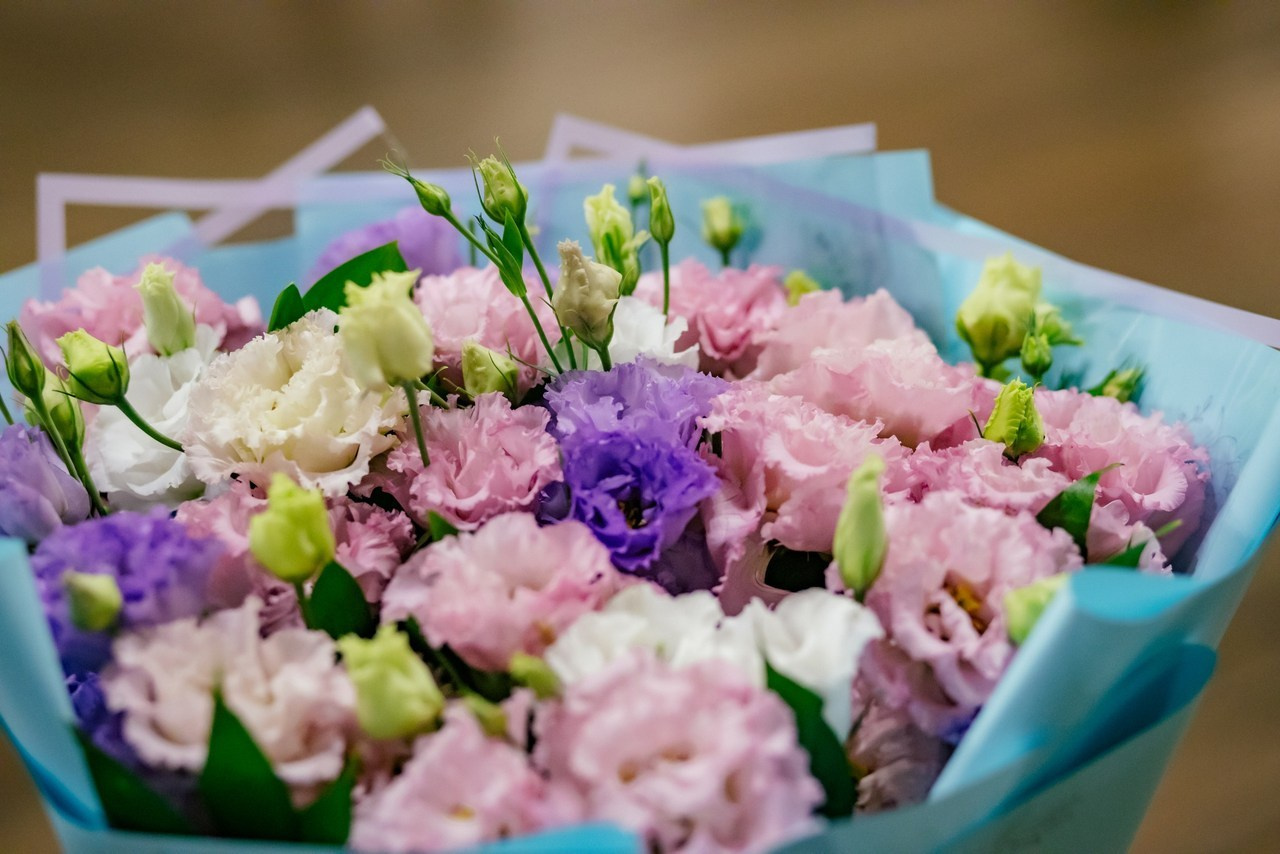 Отзывы. Фотограф и видеограф в Ставрополе Инна Попова