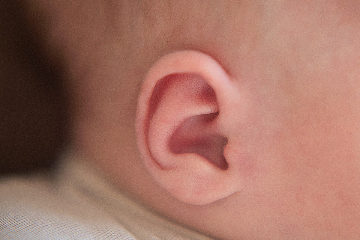 Роман, 12 дней. Детский и семейный фотограф в Красноярске. Фотосессии новорожденных малышей до 1 месяца