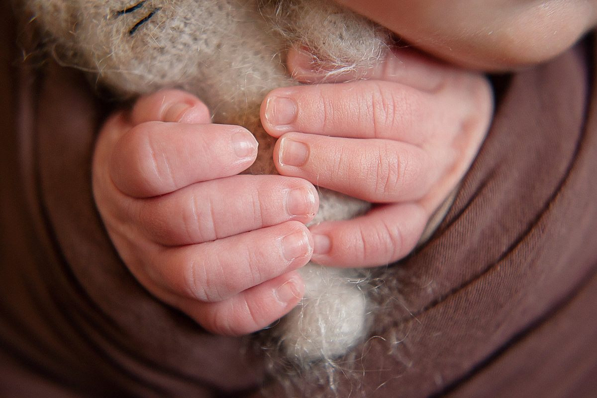 Роман, 12 дней. Детский и семейный фотограф в Красноярске. Фотосессии новорожденных малышей до 1 месяца