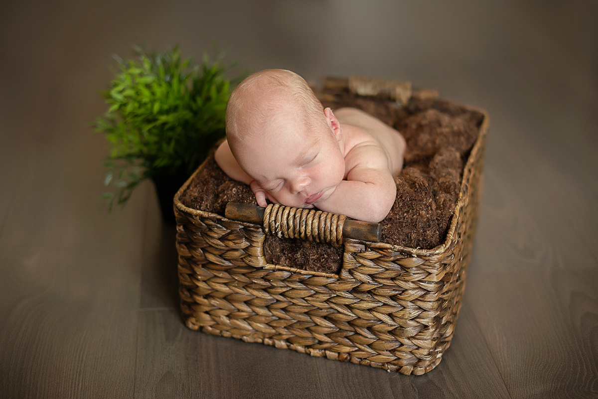 Роман, 12 дней. Детский и семейный фотограф в Красноярске. Фотосессии новорожденных малышей до 1 месяца