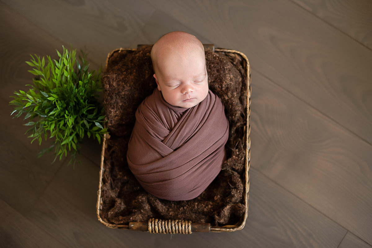 Роман, 12 дней. Детский и семейный фотограф в Красноярске. Фотосессии новорожденных малышей до 1 месяца