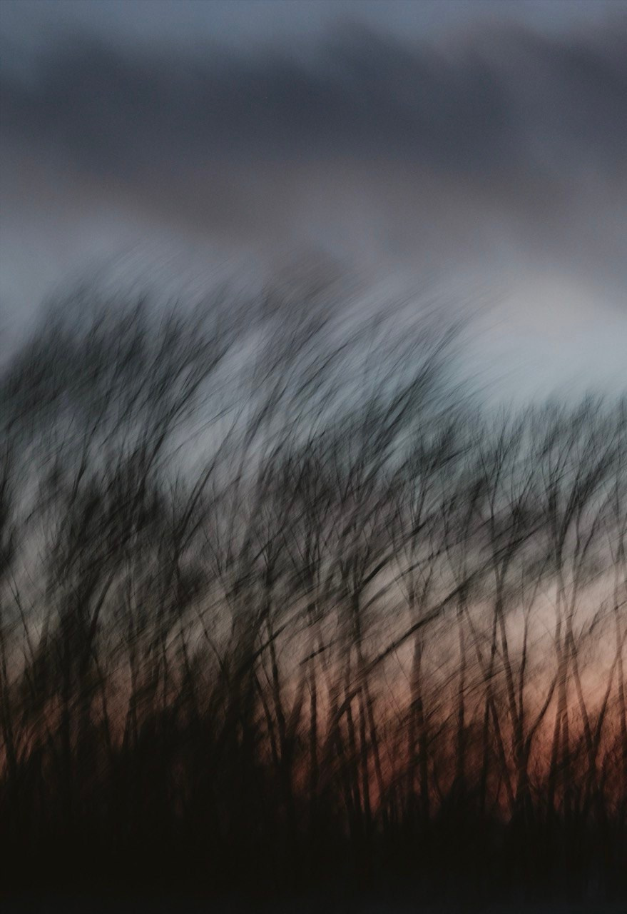 FROM THE WINDOW. Alyona Rubanova — Visual artist