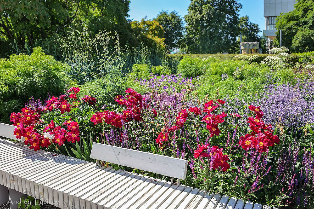 Сады. Ландшафтный фотограф Андрей Лысиков, Москва